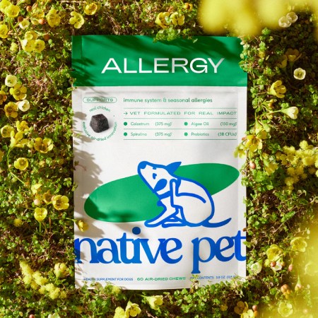 Native Pet Allergy Chews