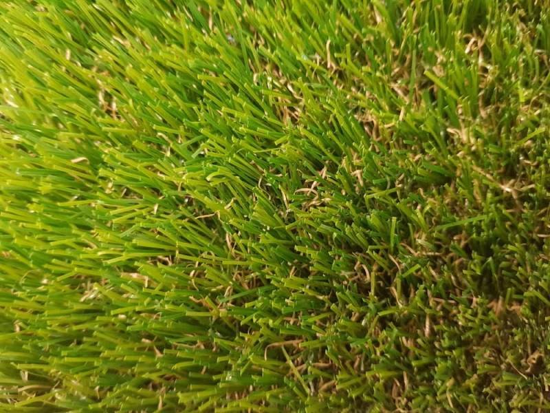 Artificial Grass Review 