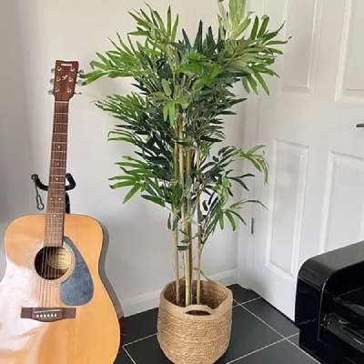 Wayfair Artificial Plants