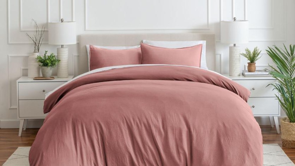 Bare Home Review : Elevating Your Everyday Comfort