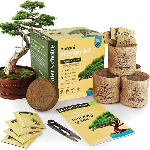 Bonsai Starter Kit – Gardening 