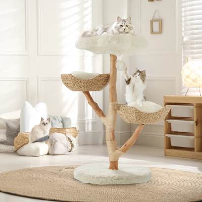 Chic Scratching Posts and Trees WAYFAIR