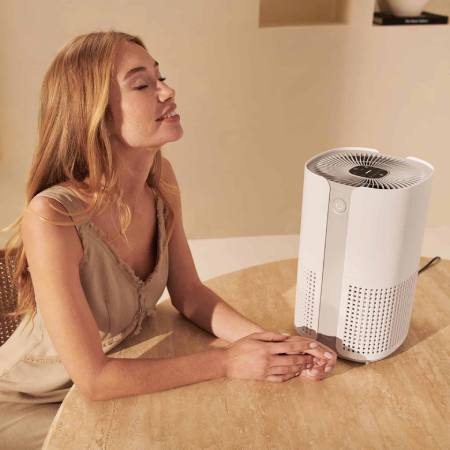 Duux Air Purifiers