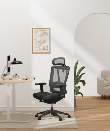 FlexiSpot Ergonomic Chair