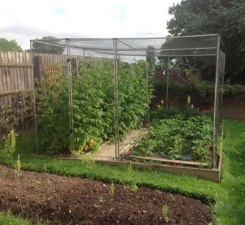 Gardening Naturally Fruit Cages and Vegetable With Netting And Door