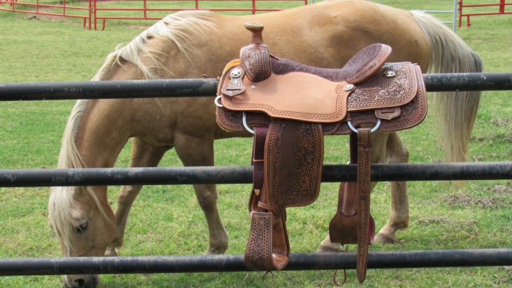 Horse Saddle Shop Review : Your Complete Guide to Finding the Perfect Saddle