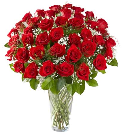 Kremp Florist Premium Red Roses Arranged with Filler