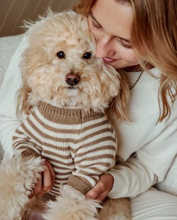 Furb Striped Dog Sweater