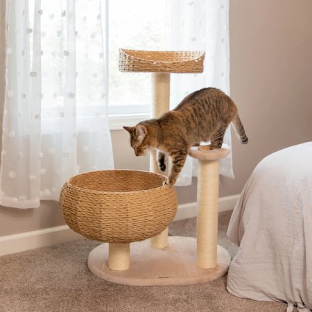 Happy & Polly Primary Woven Series Set