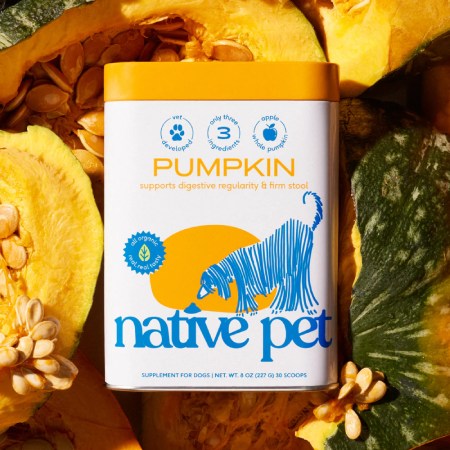 Native Pet Pumpkin Powder