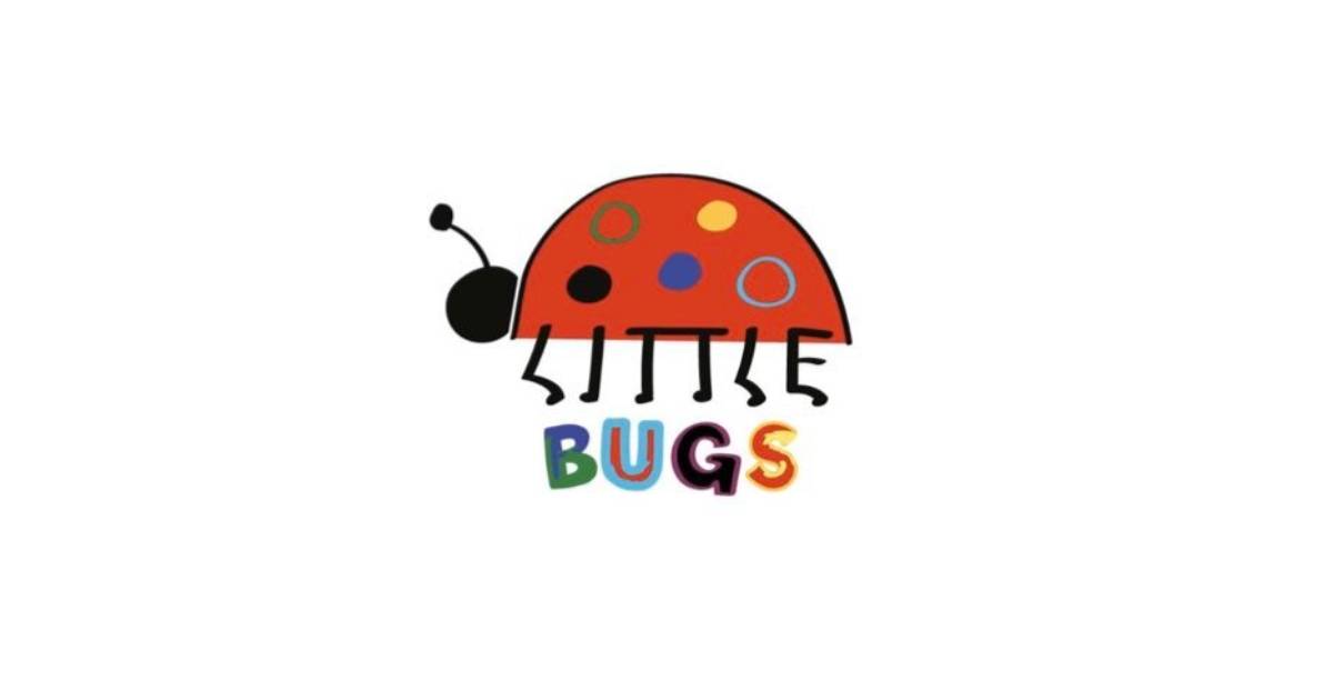 Little Bugs Co Discount Codes 2025