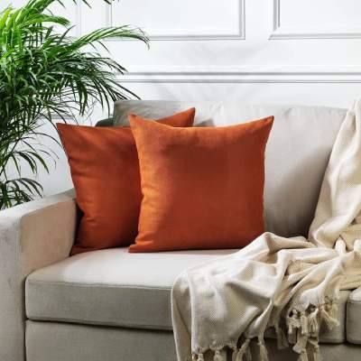 wayfair Decorative Cushions