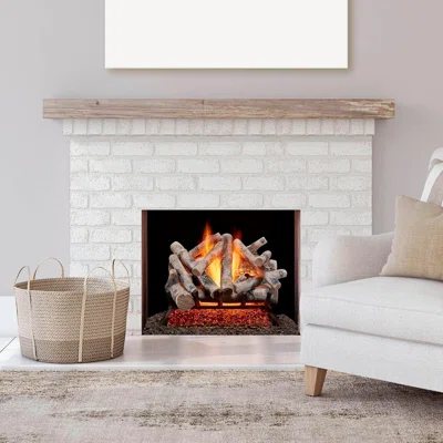 WAYFAIR Gas Fireplaces