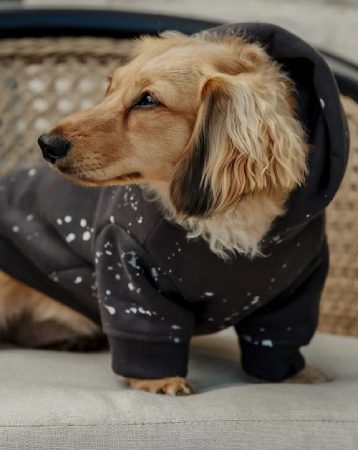 Furb Ziggy Charcoal Paint Splatter Dog Hoodie